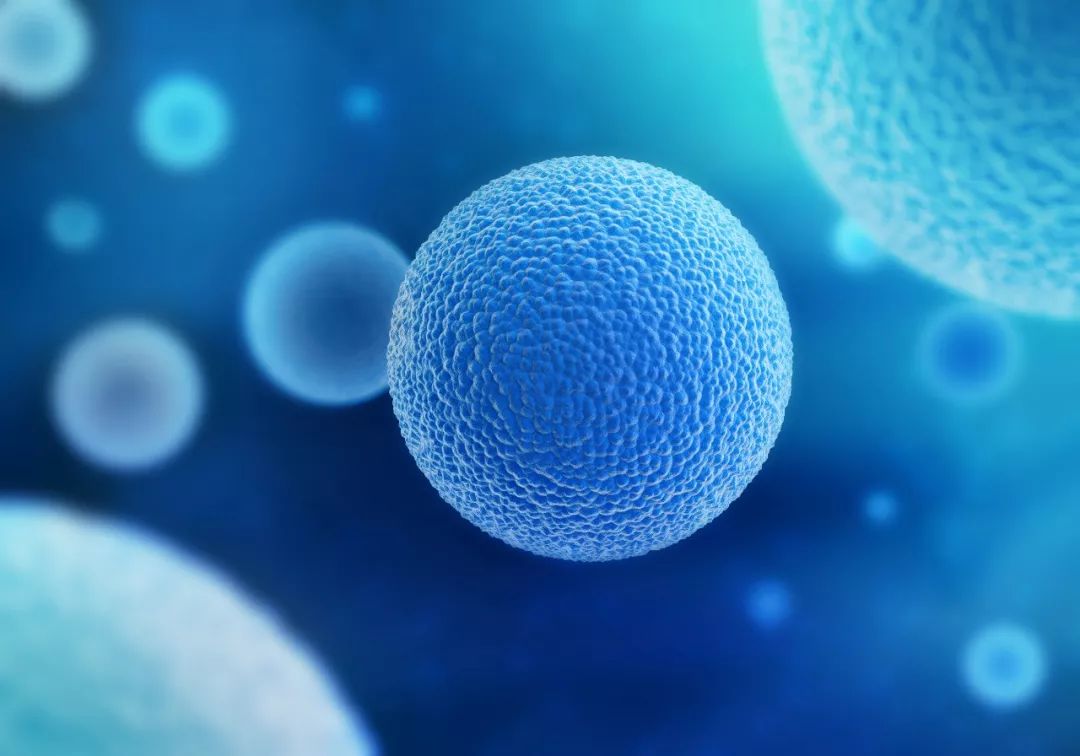 罗氏、礼来、武田等都有布局，“外泌体疗法”有多神奇？