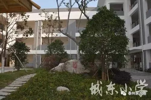 泰州市小学排名一览表,泰州凤凰小学招生