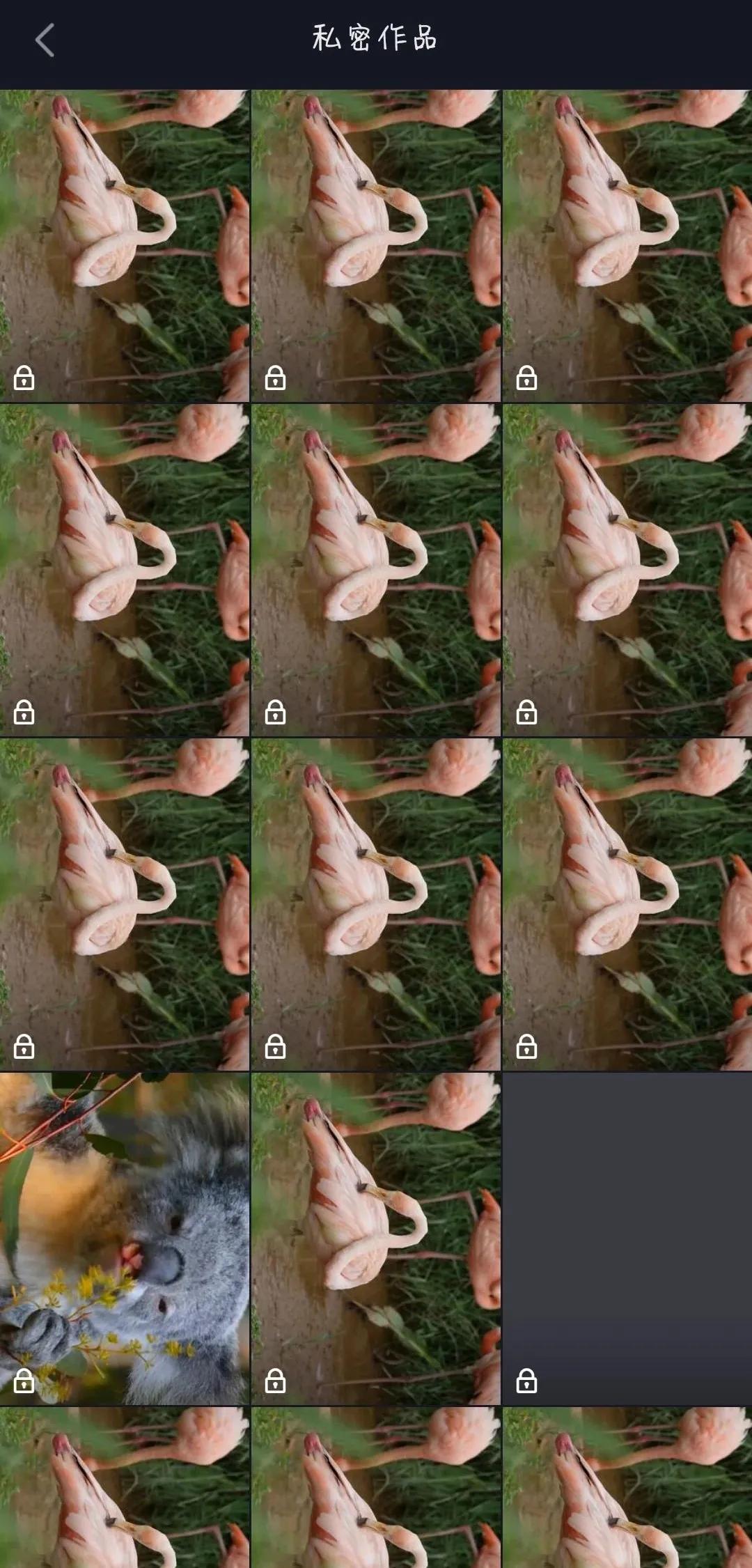 如何让自己的抖音视频更高清？测试一天后，偷偷告诉你