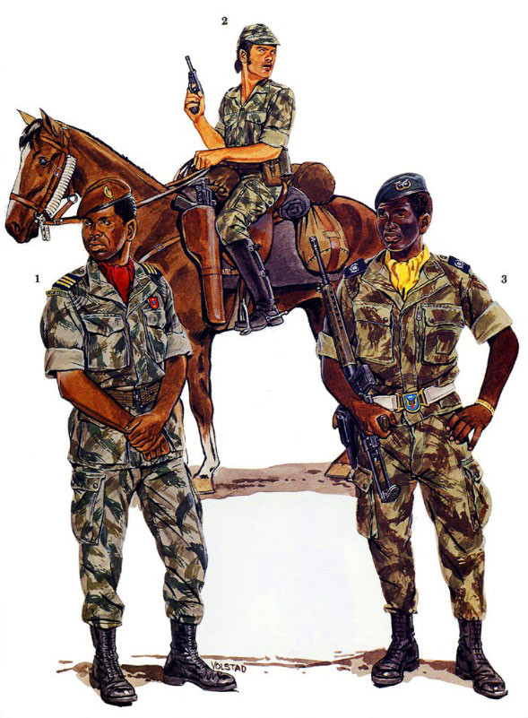 非洲解放战争，葡萄牙、安哥拉和莫桑比克军服图册