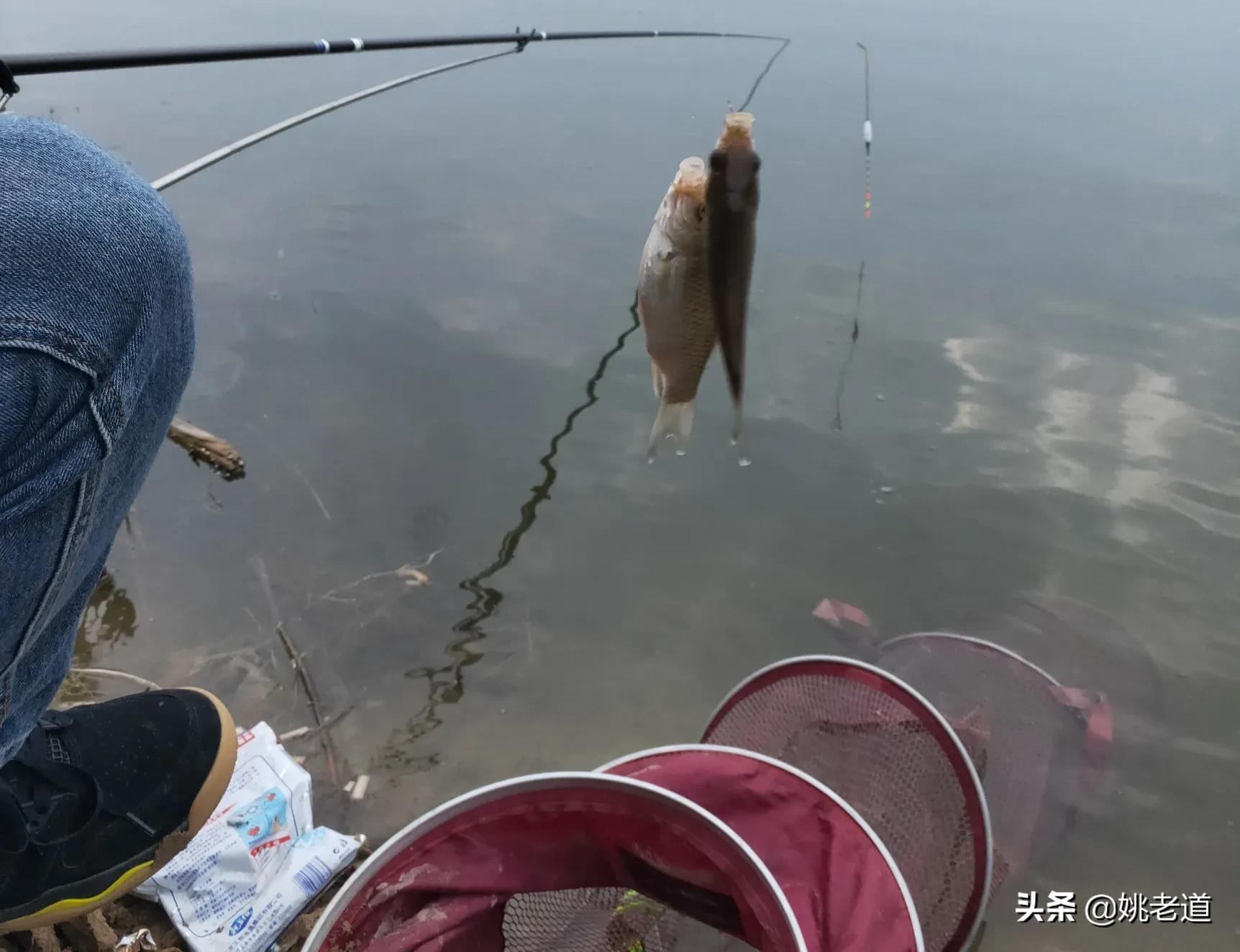 天凉后钓鱼,天凉了夜钓怎么钓好