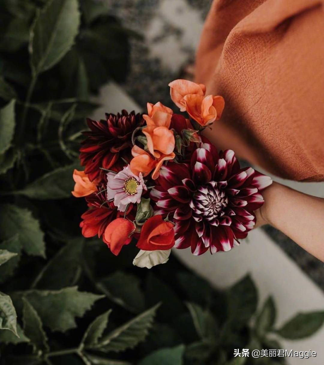 maggie美丽物语,maggie的美丽物语