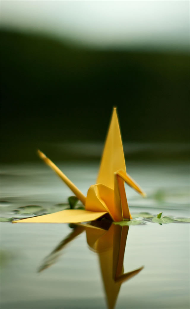 缓解眼睛疲劳动态图壁纸,好看的手机壁纸护眼高清图文