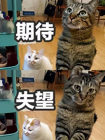 流氓软件app怎么彻底清除,流氓app怎么处理