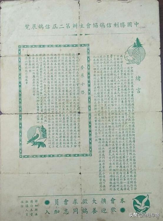 赛鸽奖金过亿,千万级赛鸽