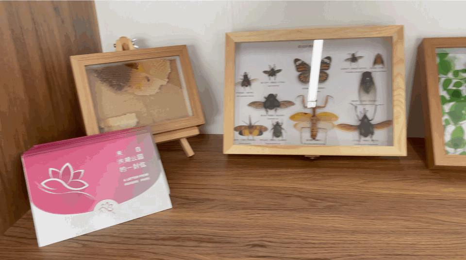 荷塘深处又添网红书院，深圳洪湖公园“荷·美空间”开门迎客