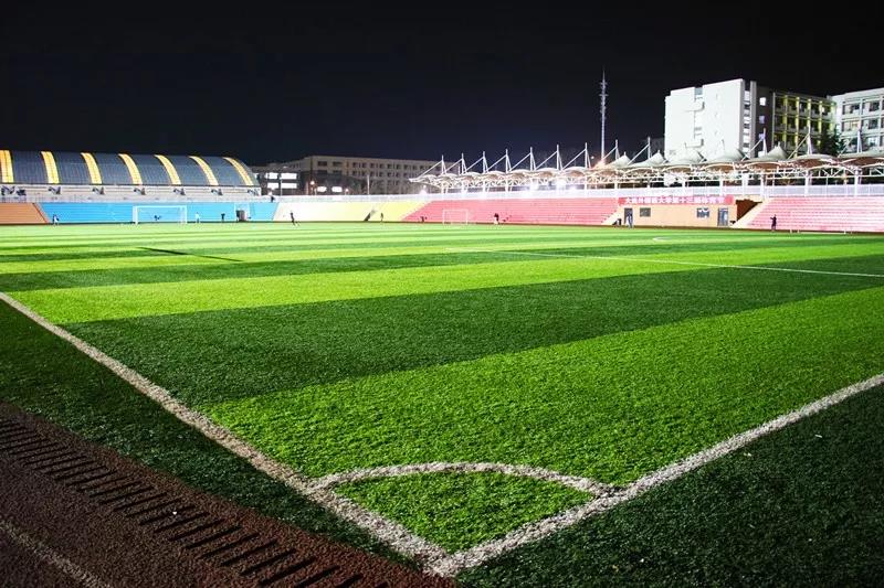 周末体育场馆免费开放,体育场馆免费开放资金管理办法