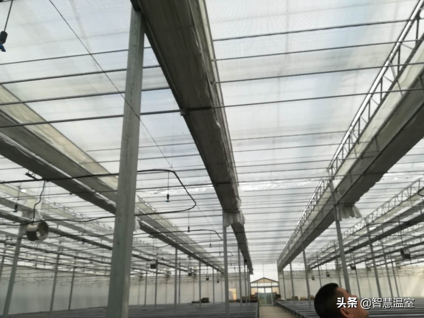 盘点温室大棚的优缺点，看看哪个类型适合你