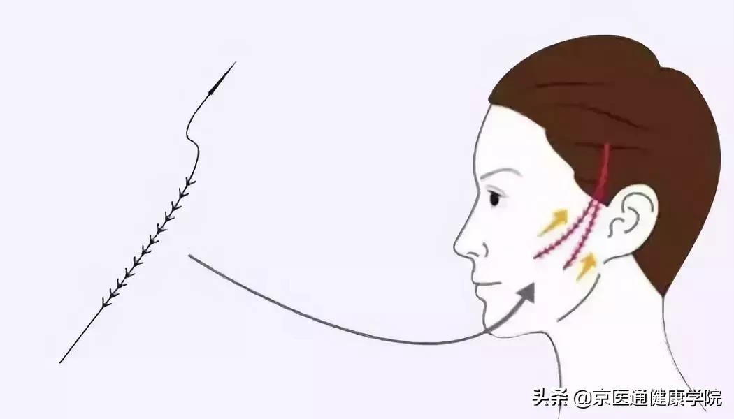 胶原蛋白真的有必要买吗,新手一定要知道的胶原蛋白骗局