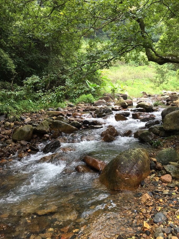 从化溪头自驾游视频,从化溪头村一日游路线