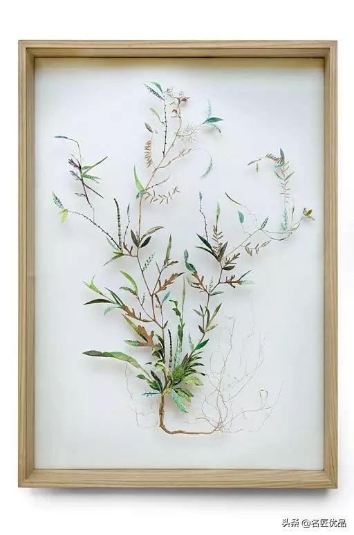 手工课堂：手把手教你做干花标本，比花钱买来的画好看十倍