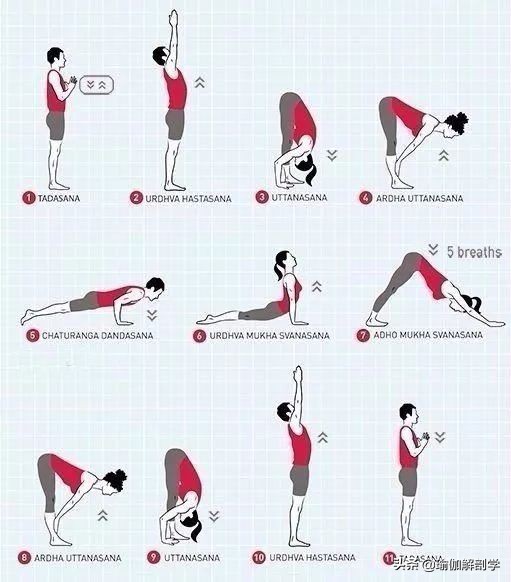 最适合初学者练习的10套瑜伽序列,瑜伽初学者适合练的瑜伽
