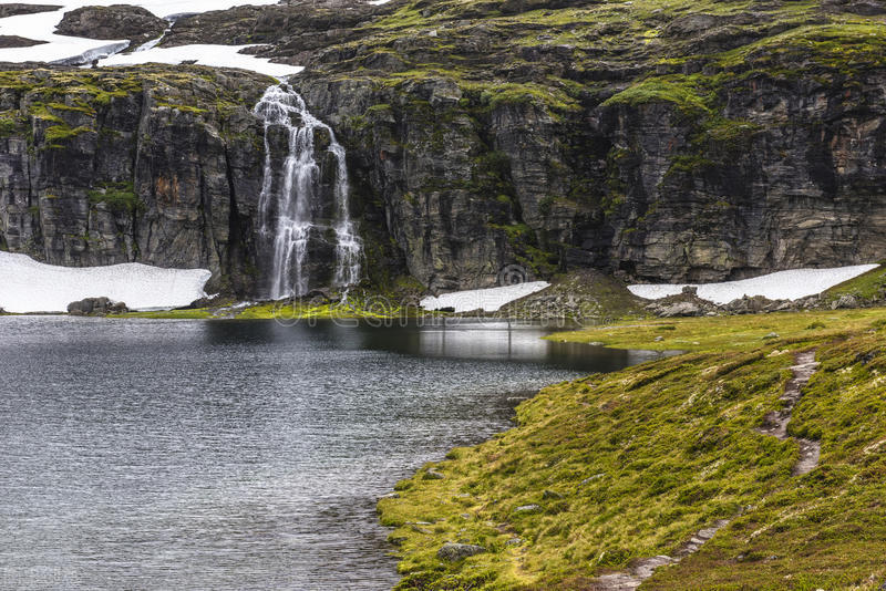 浮生情小说,浮生情免费阅读