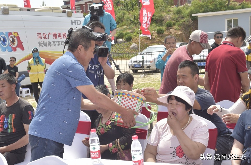 山海关:一沟大樱桃换来半坡别墅
