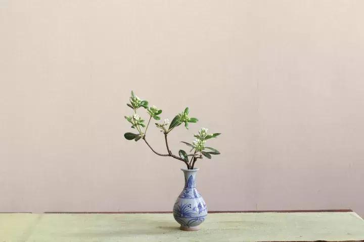 悦见花开花园,悦见花开