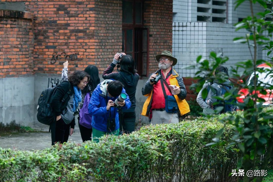 花重锦官城,花重锦官城长安