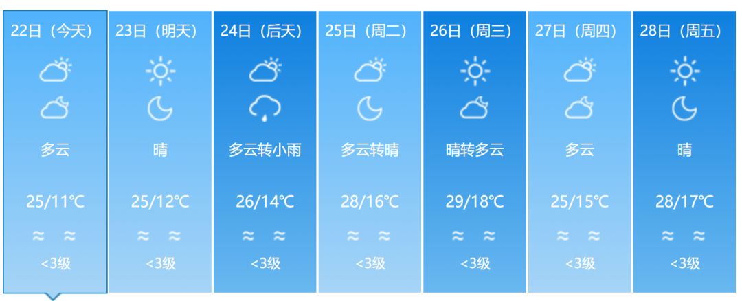 福建春天花海旅游攻略,福建春季游玩好去处推荐
