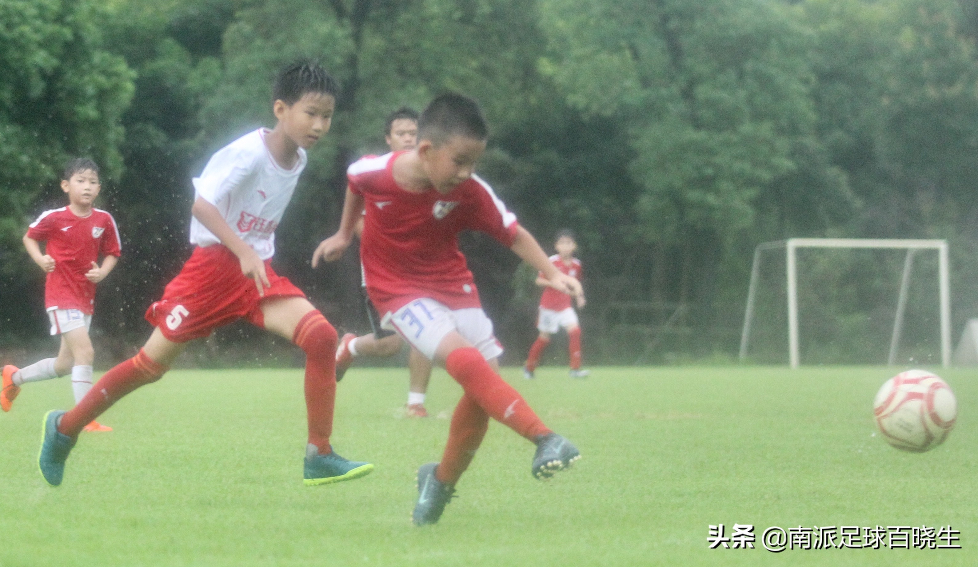 胡志行,胡志军侠客行采访