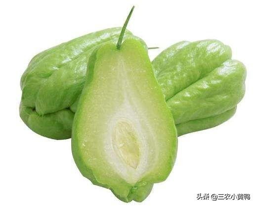 合手瓜怎么煮,可以做菜又可以当水果吃的瓜