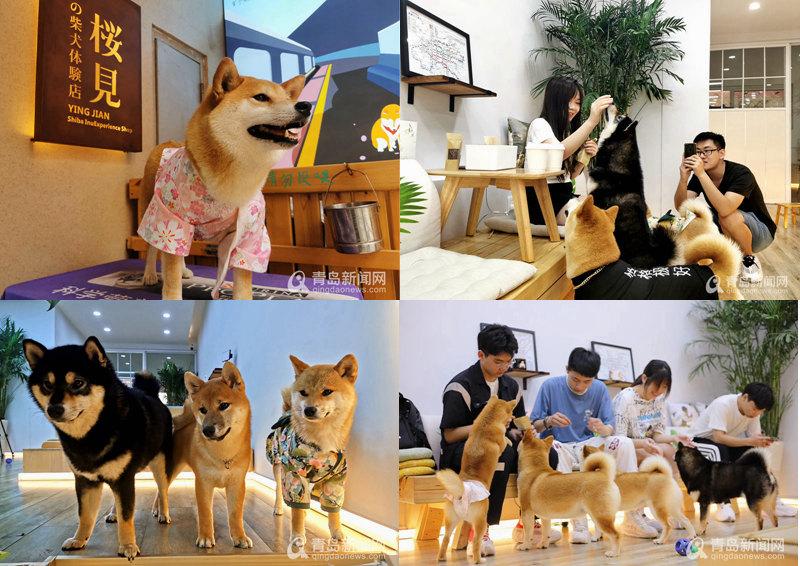 时尚网红店铺,时尚潮流网红服装店