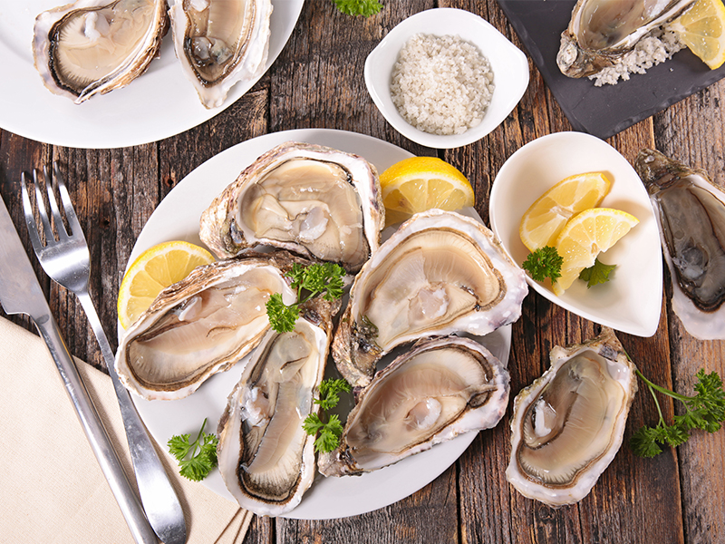 生蚝冷知识大全,生蚝有什么冷知识