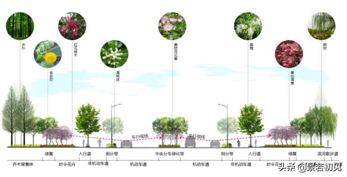 绿化带设计景观鸟瞰图,道路景观绿化设计方案怎么写