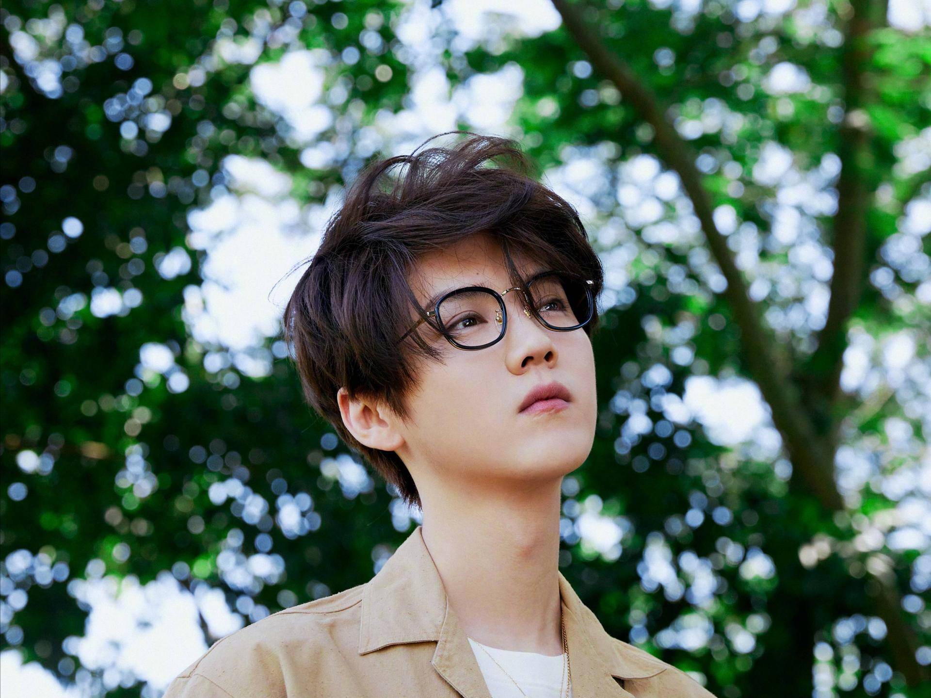 鹿晗mv是真的吗,鹿晗新出的mv