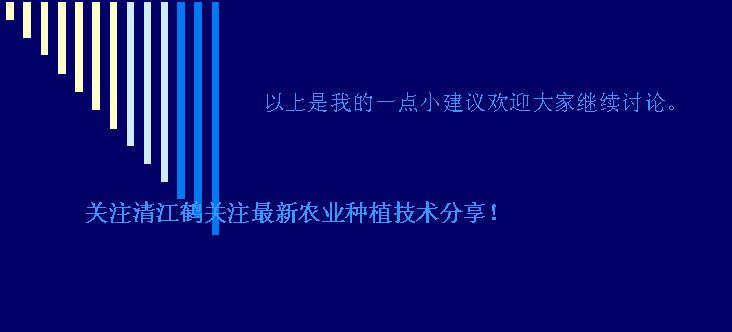 茴香菜结种子,结球茴香适合多少度下生长