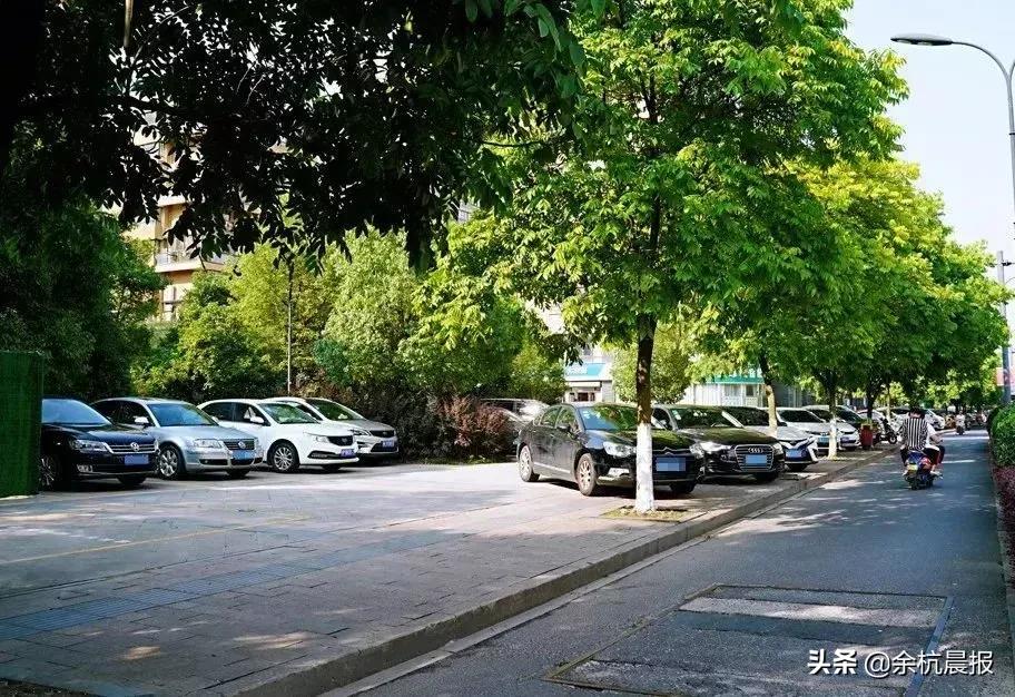 临平未来大动作,临安将有大动作