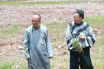 难得糊涂郑板桥,难得糊涂郑板桥电视剧