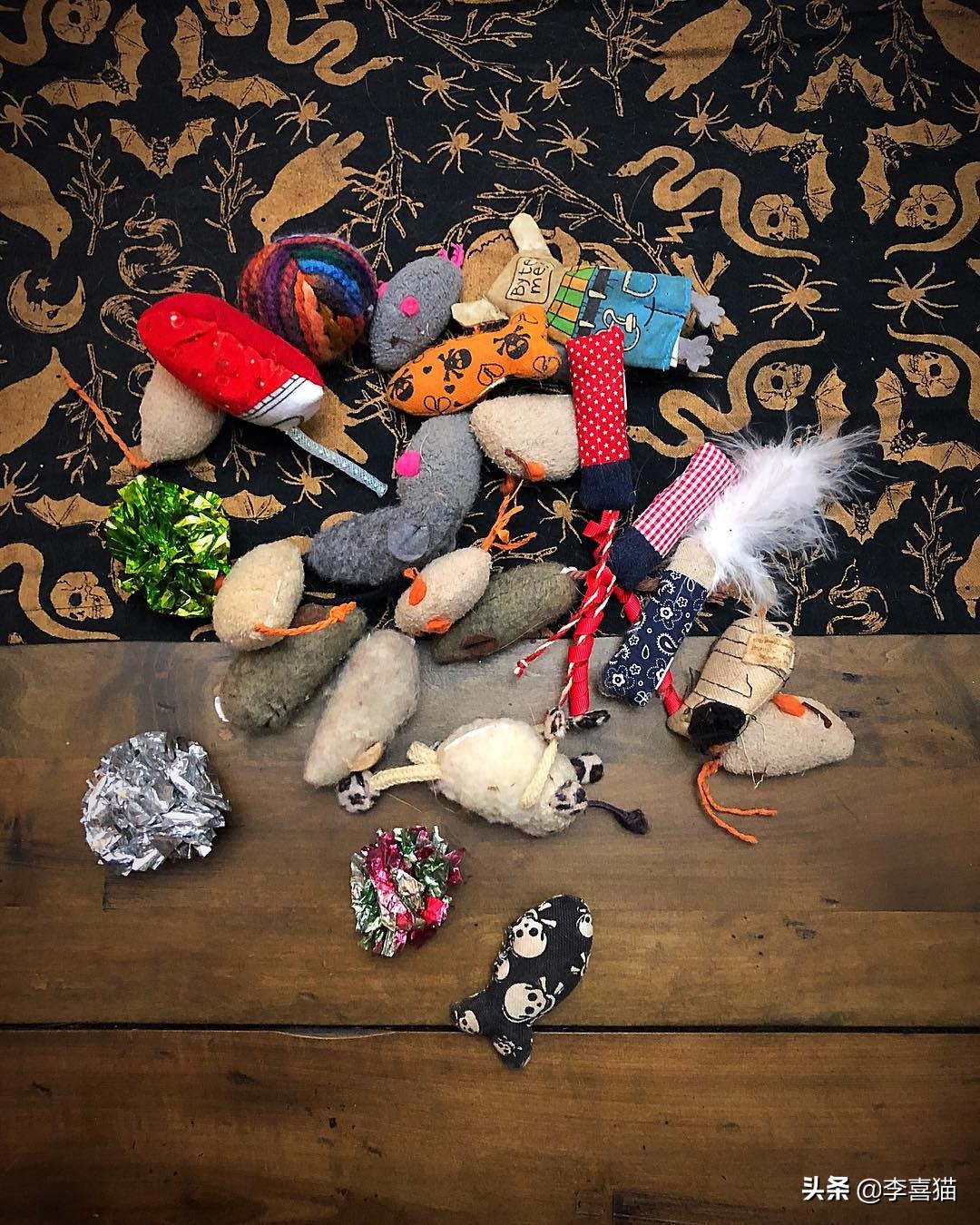 辟谣：不是只有狗狗会藏东西，猫咪一旦鸡贼起来什么玩具都能玩丢