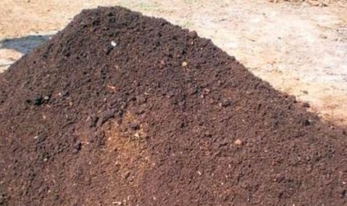 绣球换盆用营养土需要加田园土吗,墨兰换盆用营养土和菜园土可以吗