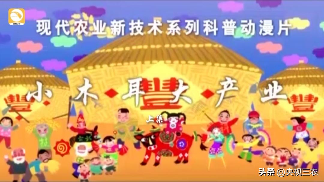 木耳一年利润多少钱,木耳赚钱案例