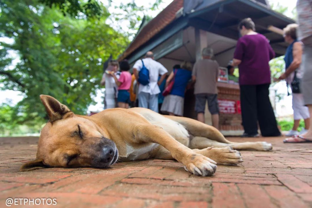 目前在售最划算的全画幅单反,最值得买的全画幅单反相机