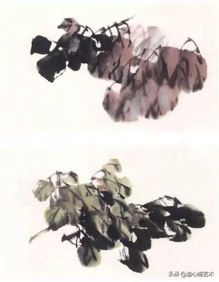 写意牡丹叶子画法步骤教程,王兮然写意牡丹画法视频大全