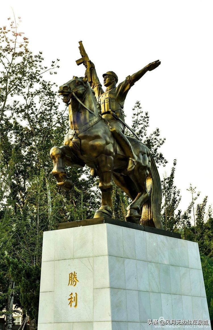 济南的法国梧桐,济南梧桐树美景