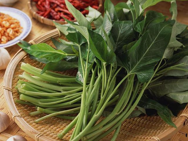 种植空心菜弊端有哪些问题,种植空心菜要注意什么