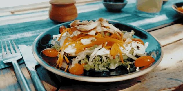 恋恋丽贝岛，人狗情未了|KohLipe