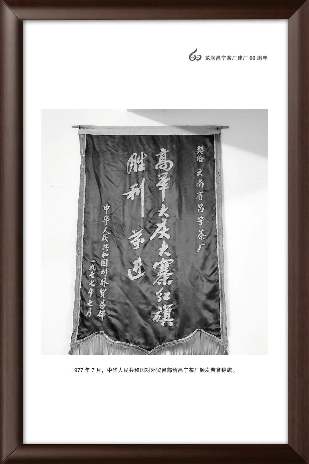 龙润茶大金芽1958,龙润大金芽好茶