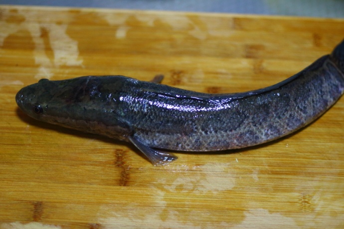 寒天怎么做又脆又好吃,寒冷天气下厨做饭