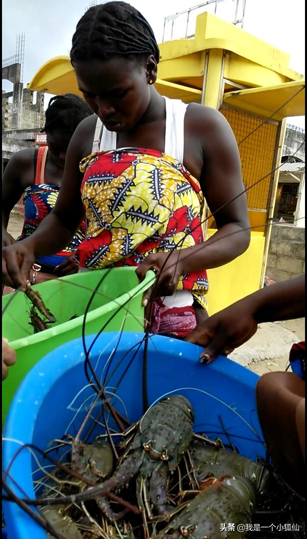 我在安哥拉海边等着驾独木舟打渔的黑人回来，买他们刚捞到的海鲜