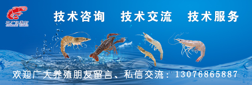 对虾黑鳃病,对虾黑斑病最快的治疗方法