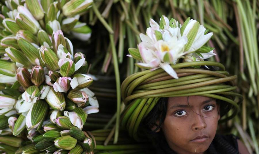 孟加拉国那么小为什么人口这么多,孟加拉国面积和人口是多少