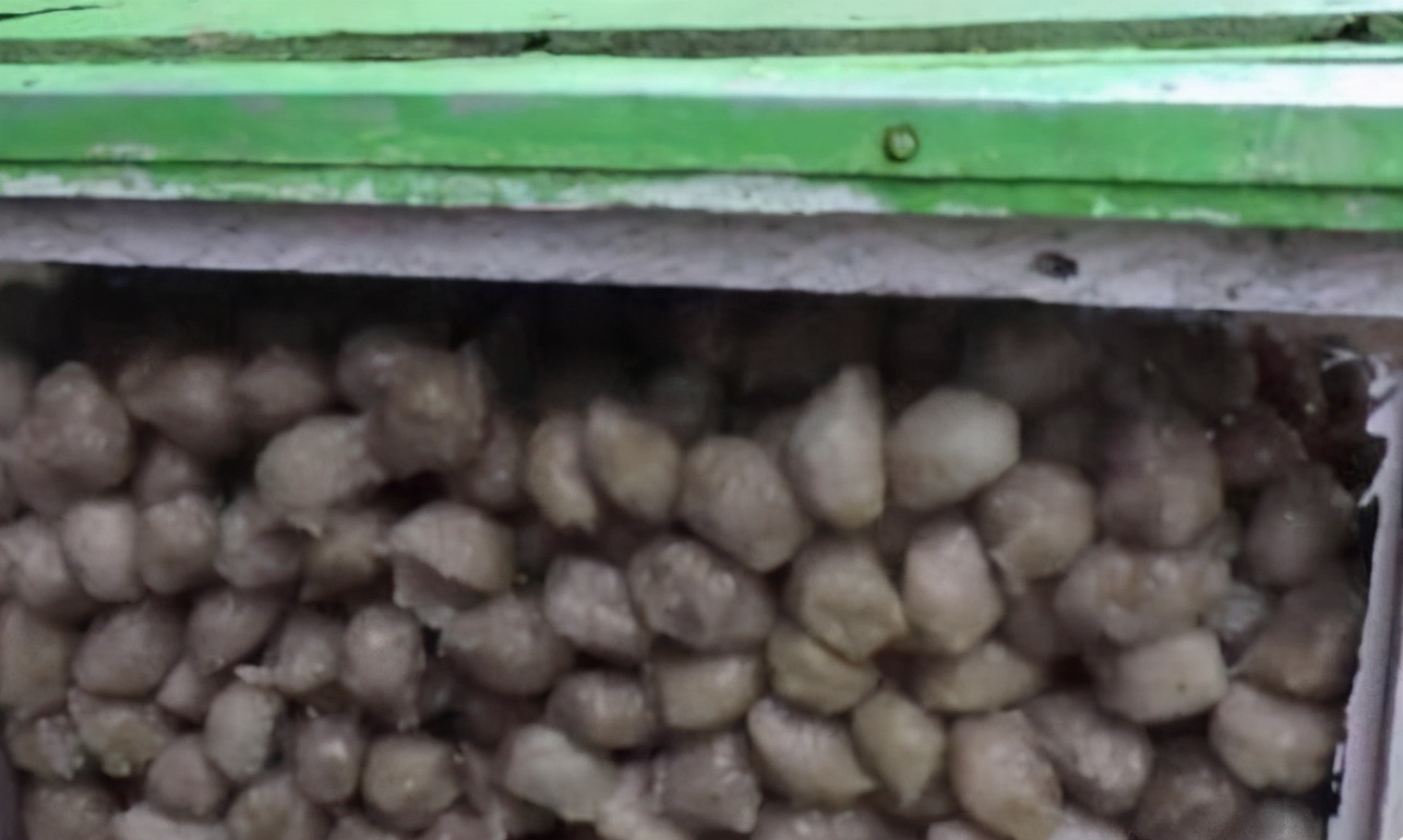 揭秘假肉丸的视频,假肉丸曝光