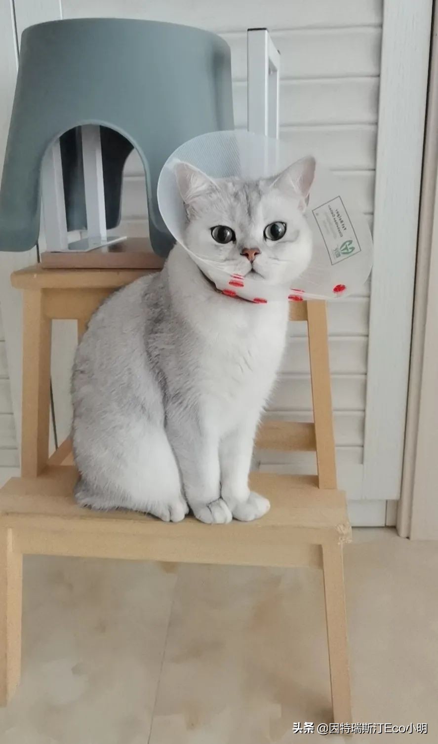 基金行业黑幕分析,基金行业里的六大黑幕