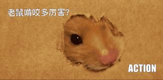 冬天的老鼠在屋里怎么办,小的老鼠进屋怎么办