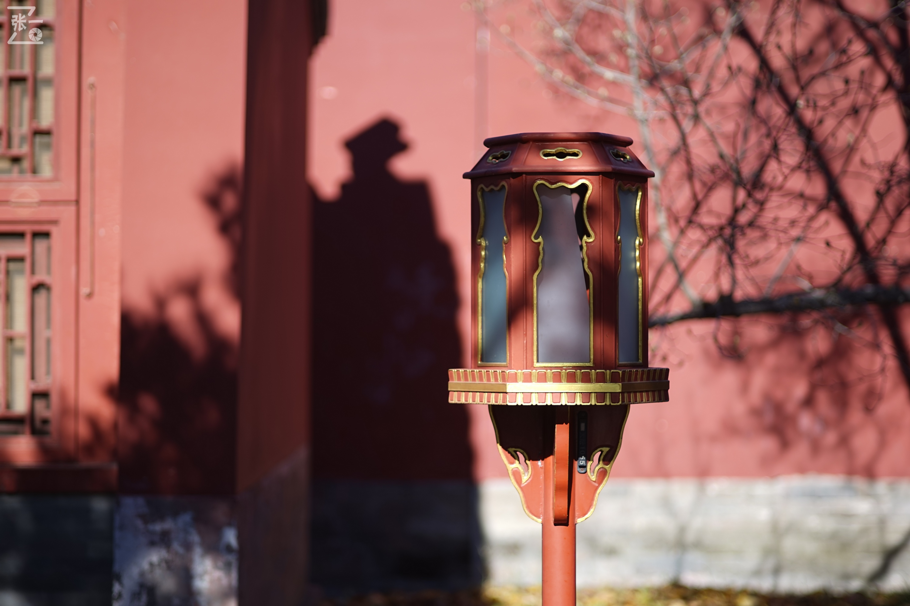 日本老镜头,canon老相机曝光