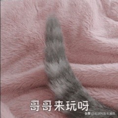 脸上激光了能喝中药吗,激光祛斑可以喝中药吗