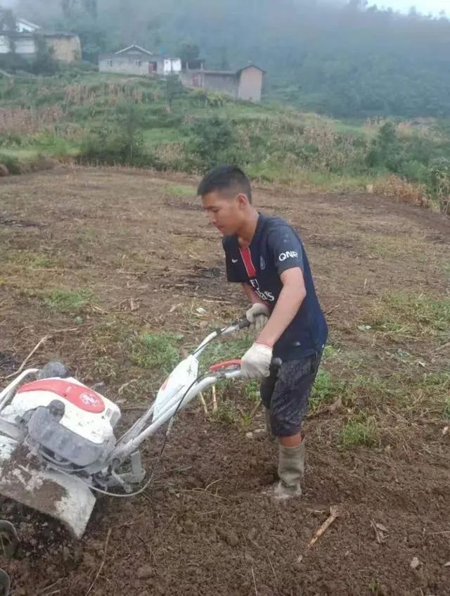 自制室内球场,自制球场定制