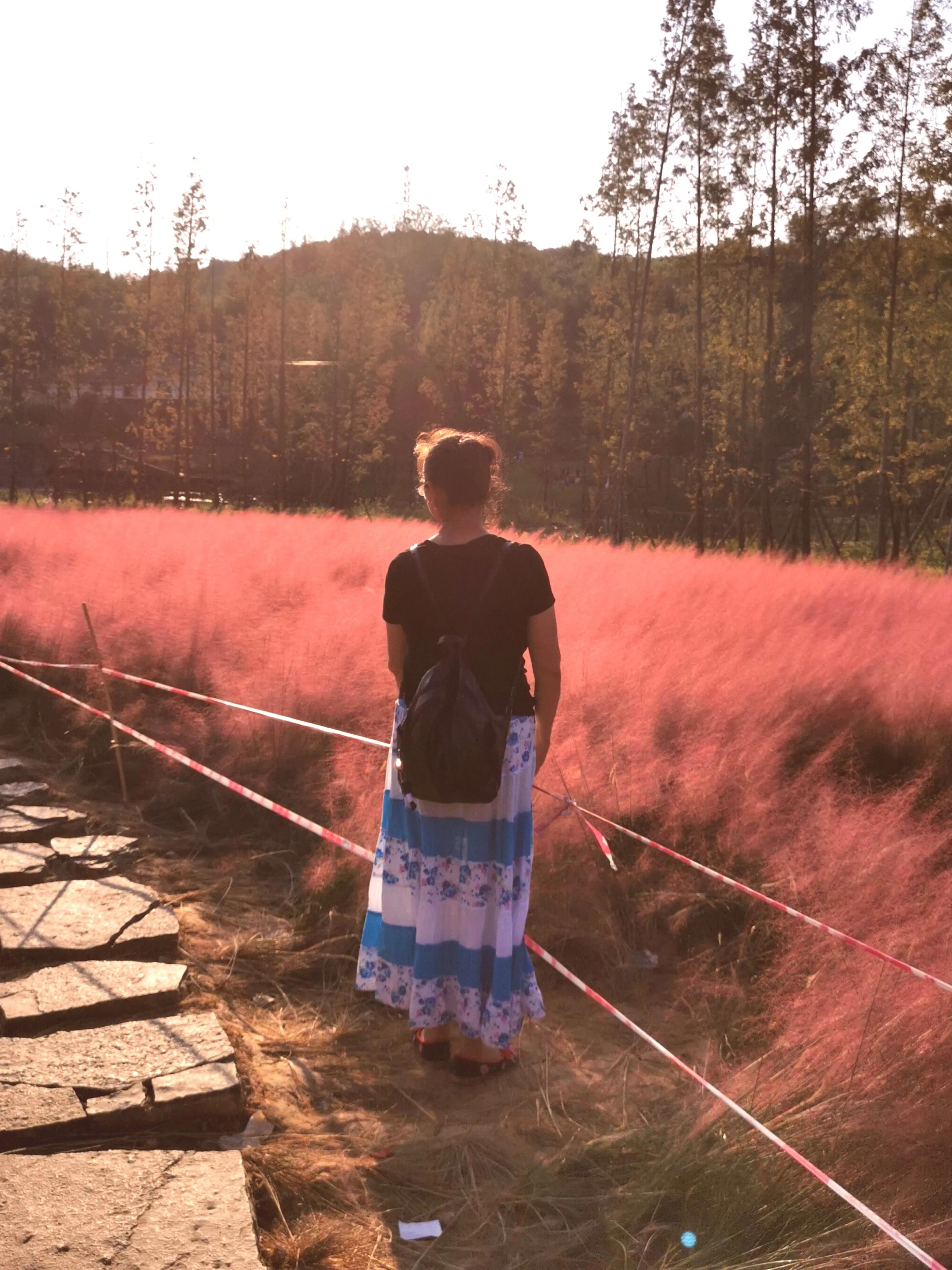 游美景作文,游斐然湖文案